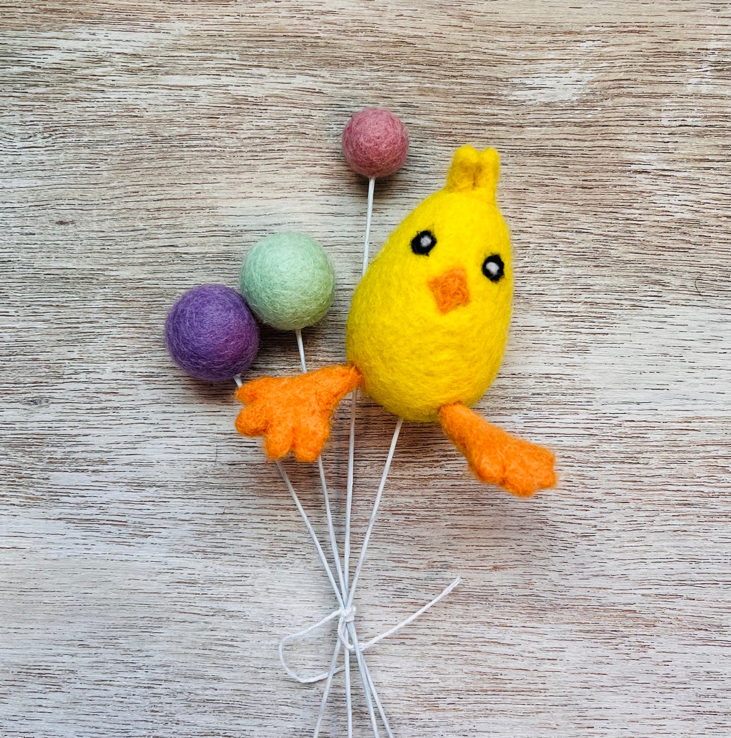 Chick Plant Decor #1