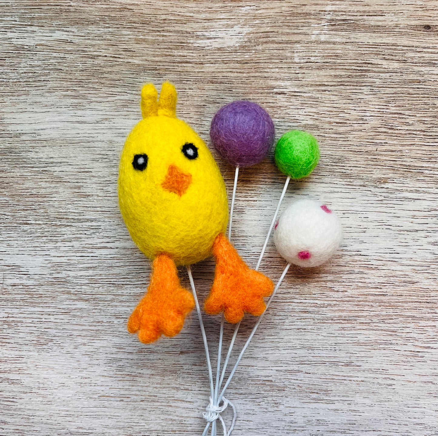 Chick Plant Decor #2