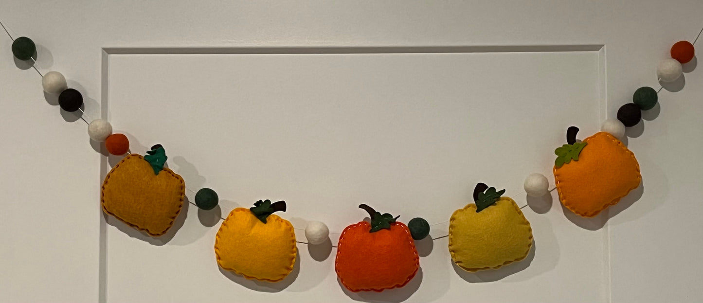 Pumpkin Patch -Oranges